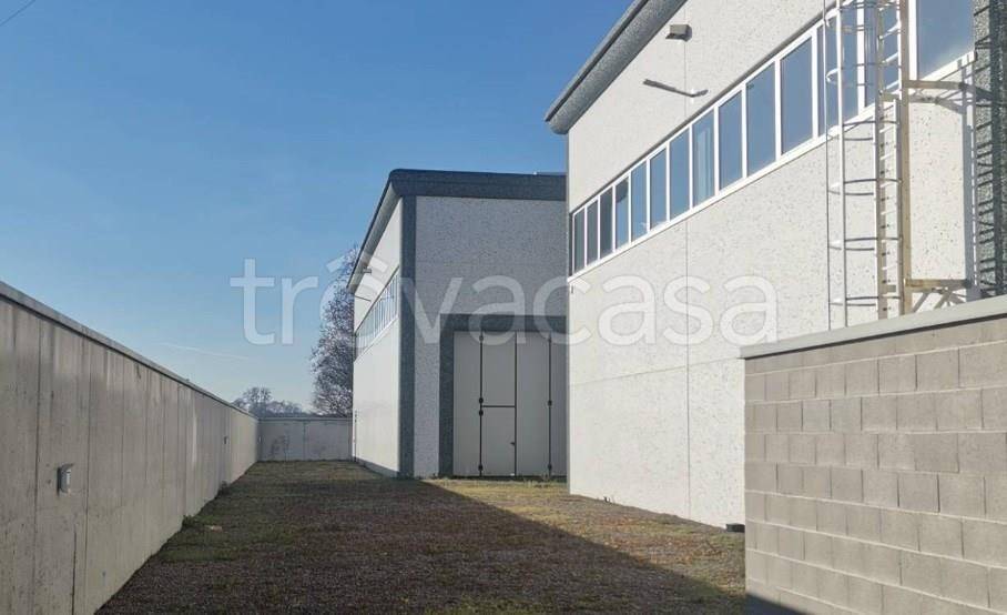 immagine annuncio 3 di 9