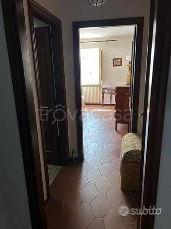 immagine annuncio 6 di 14