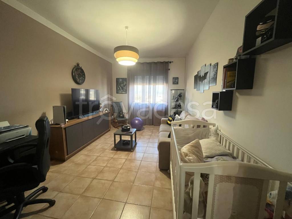 immagine annuncio 9 di 14