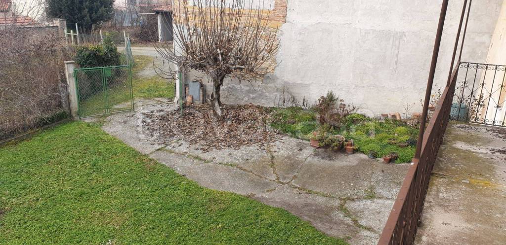 immagine annuncio 12 di 14