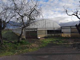 Terreno agricolo in vendita a poggiomarino via ceraso