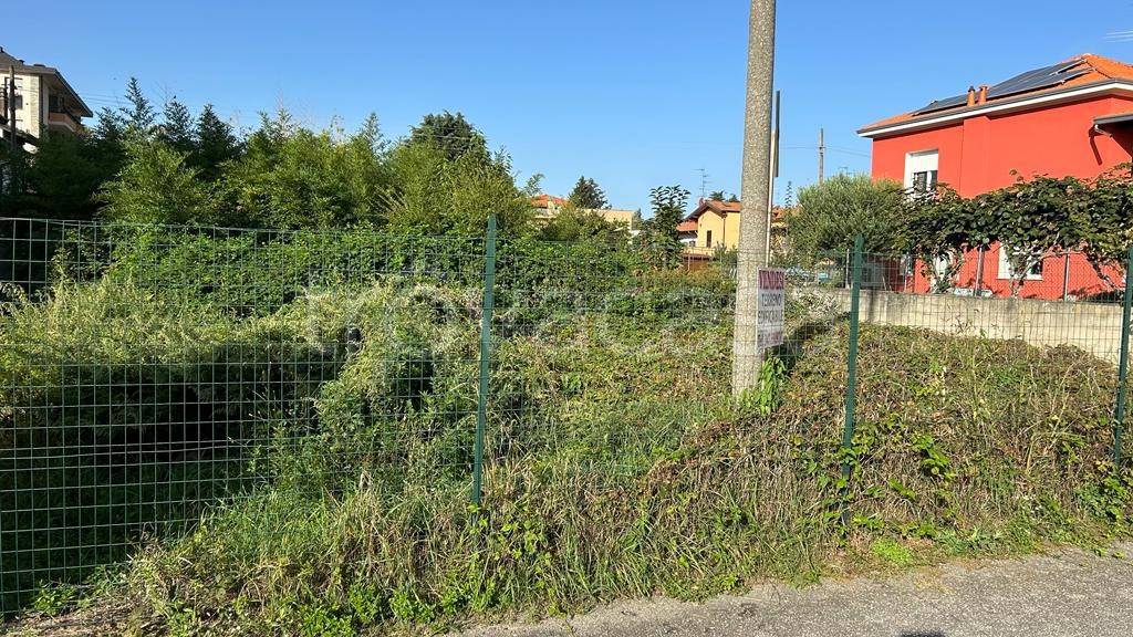 immagine annuncio 1 di 11