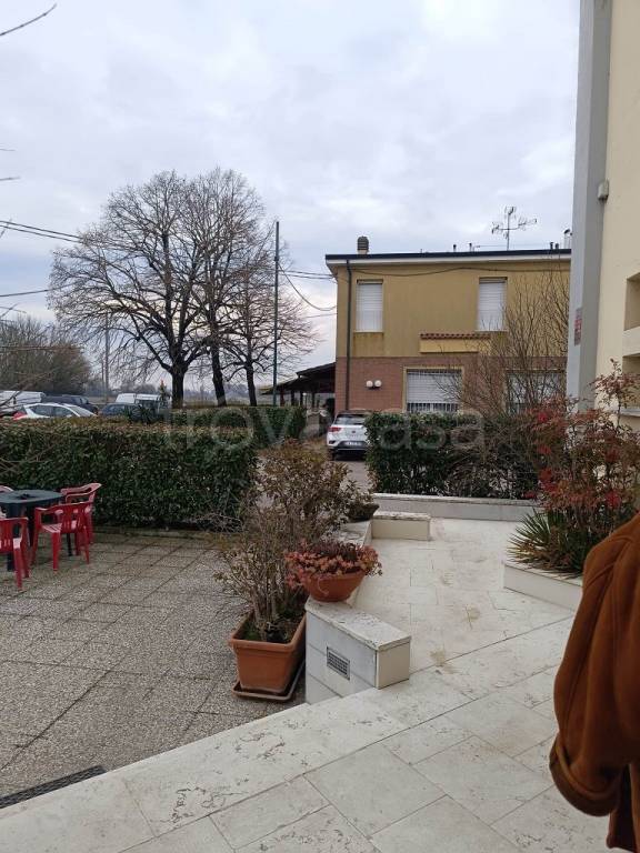 immagine annuncio 10 di 14