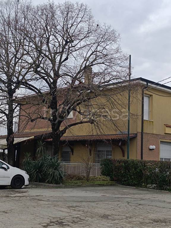 immagine annuncio 11 di 14