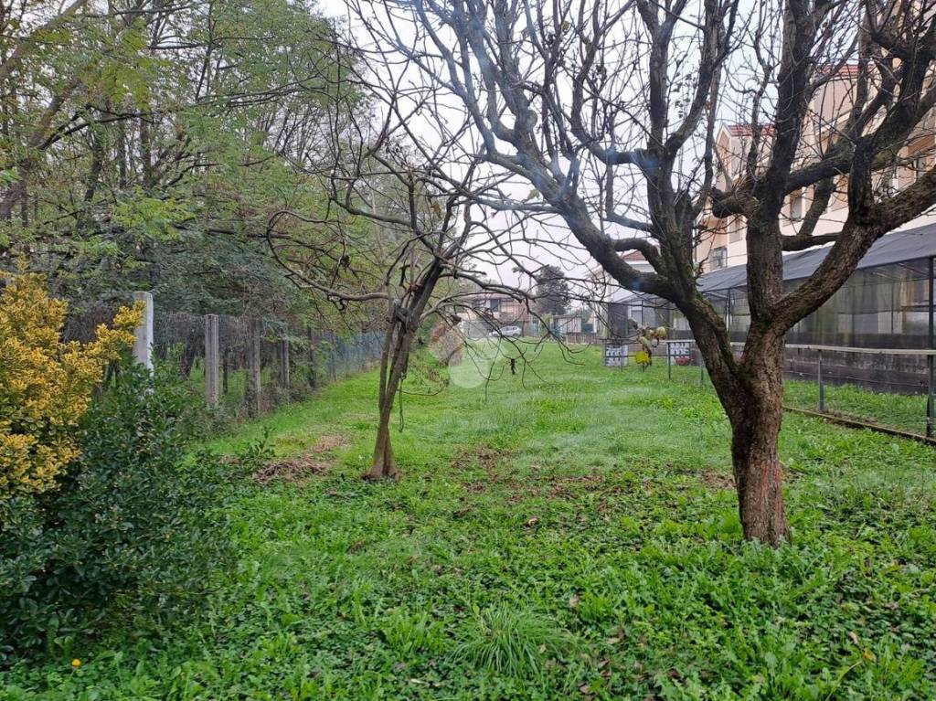 immagine annuncio 1 di 6