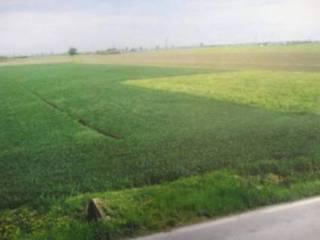 Terreno residenziale in vendita a patrica strada provinciale morolense