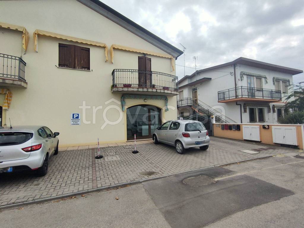 immagine annuncio 10 di 12