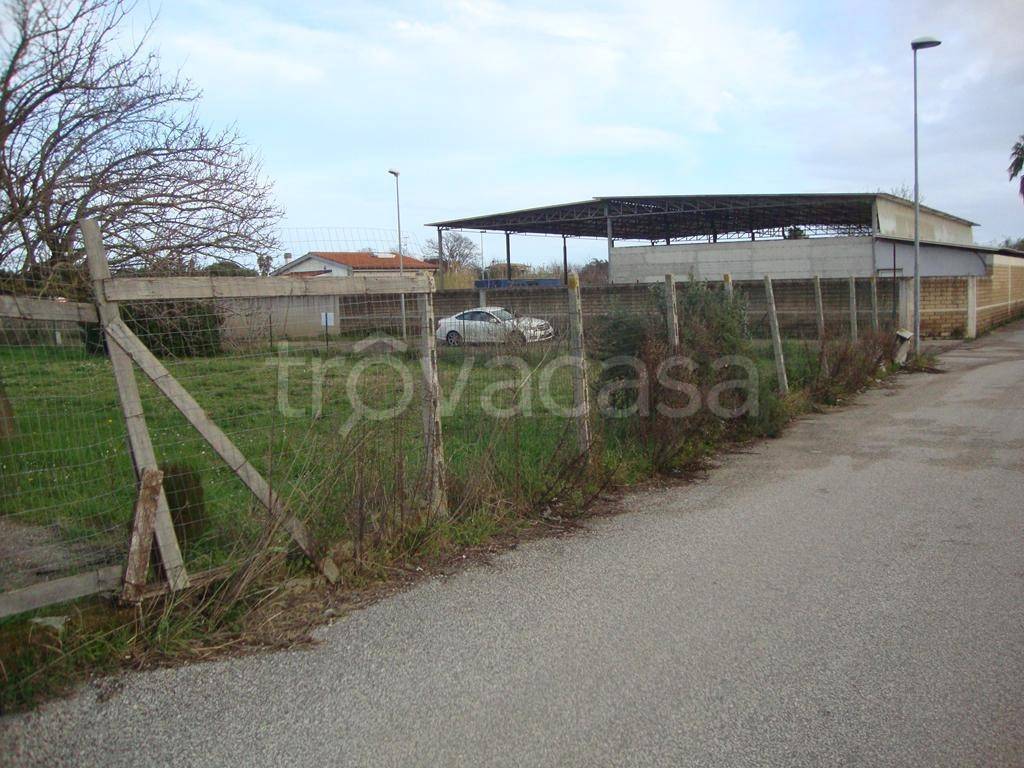 immagine annuncio 4 di 8