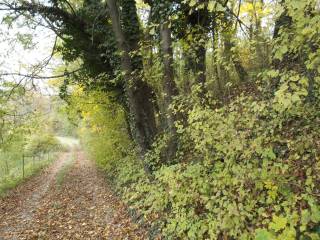 Terreno agricolo in vendita a vicoforte via gariboggio