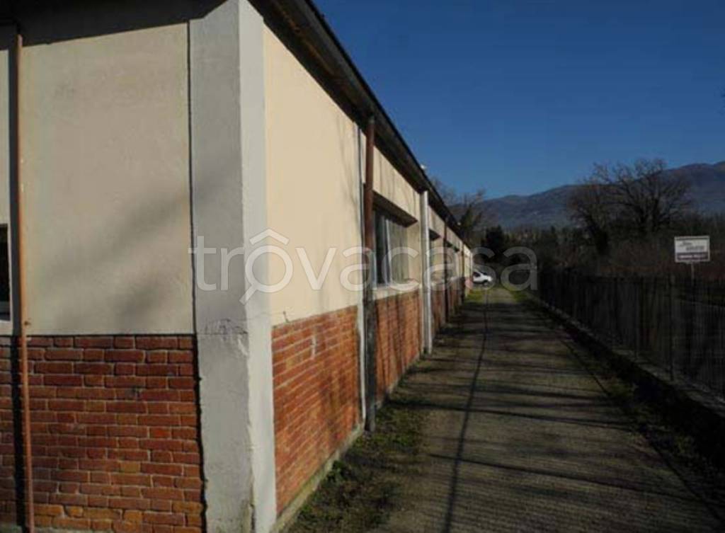 immagine annuncio 7 di 13