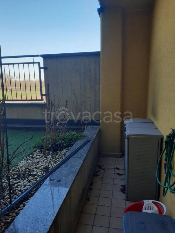 immagine annuncio 5 di 15