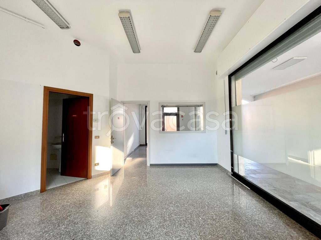 immagine annuncio 4 di 7