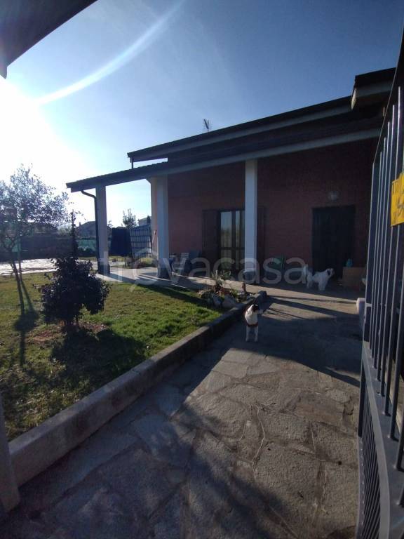 immagine annuncio 3 di 15