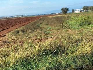 Terreno agricolo in vendita a volvera strada provinciale piossasco