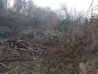 Terreno agricolo in vendita a provaglio d'iseo provaglio d'iseo