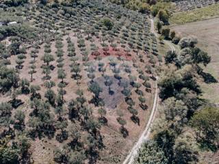 Terreno agricolo in vendita a lanciano 