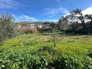 Terreno agricolo in vendita a catanzaro 