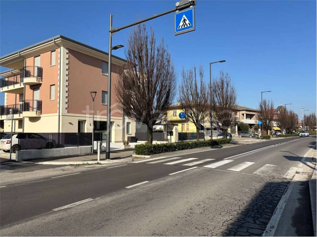 immagine annuncio 3 di 7