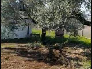 Terreno agricolo in vendita a roma via di torre jacova