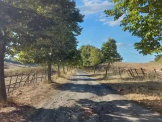 Azienda agricola all'asta ad anguillara sabazia via della marmotta