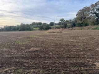 Terreno agricolo in vendita a viterbo via freddano