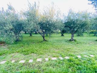 Terreno agricolo in vendita a tivoli strada di palazzo