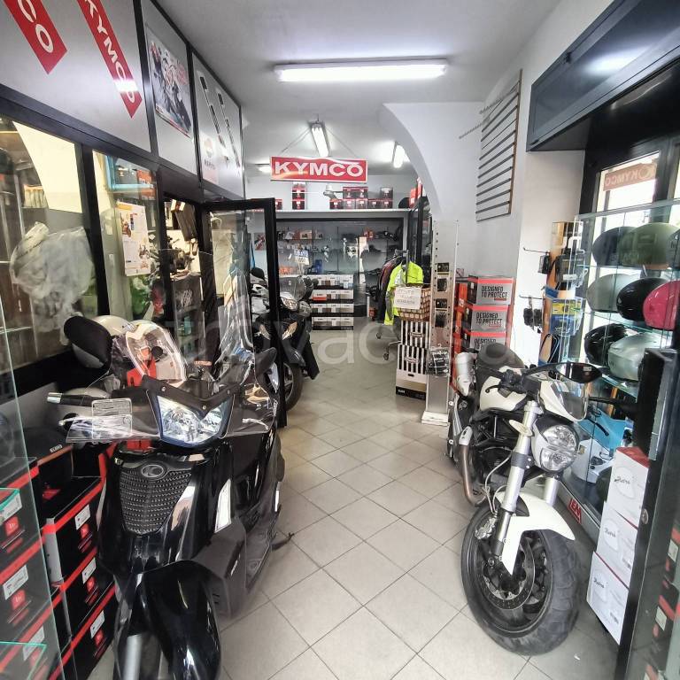 immagine annuncio 1 di 8