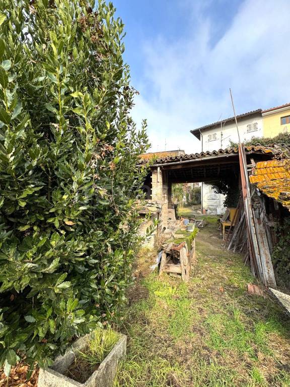 immagine annuncio 11 di 14