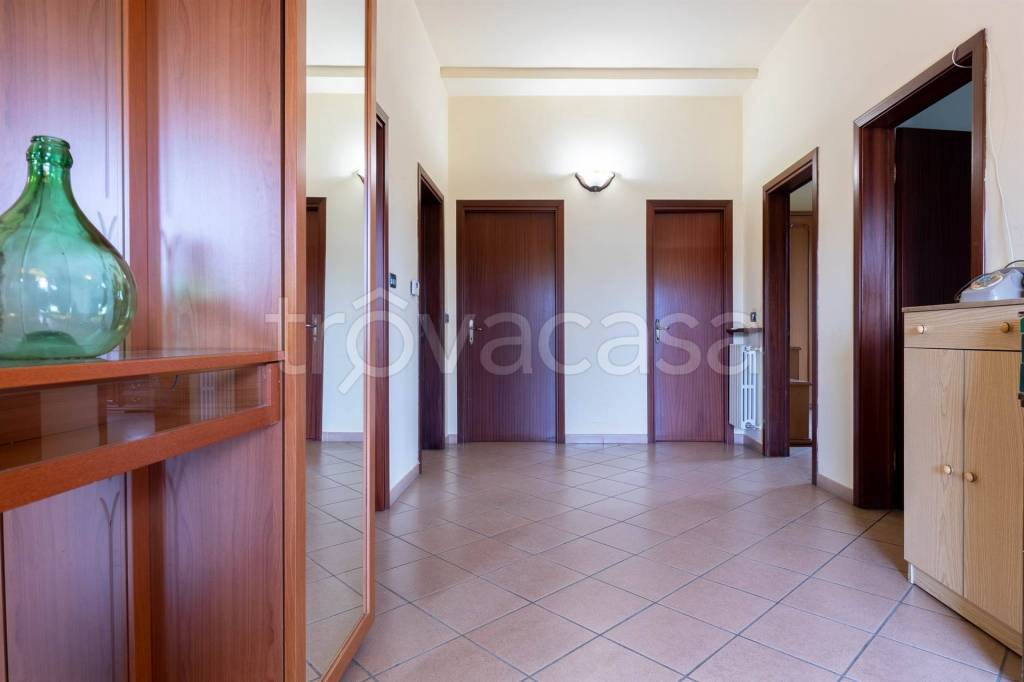 immagine annuncio 8 di 14