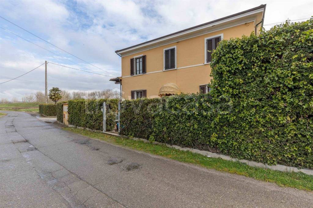 immagine annuncio 11 di 14