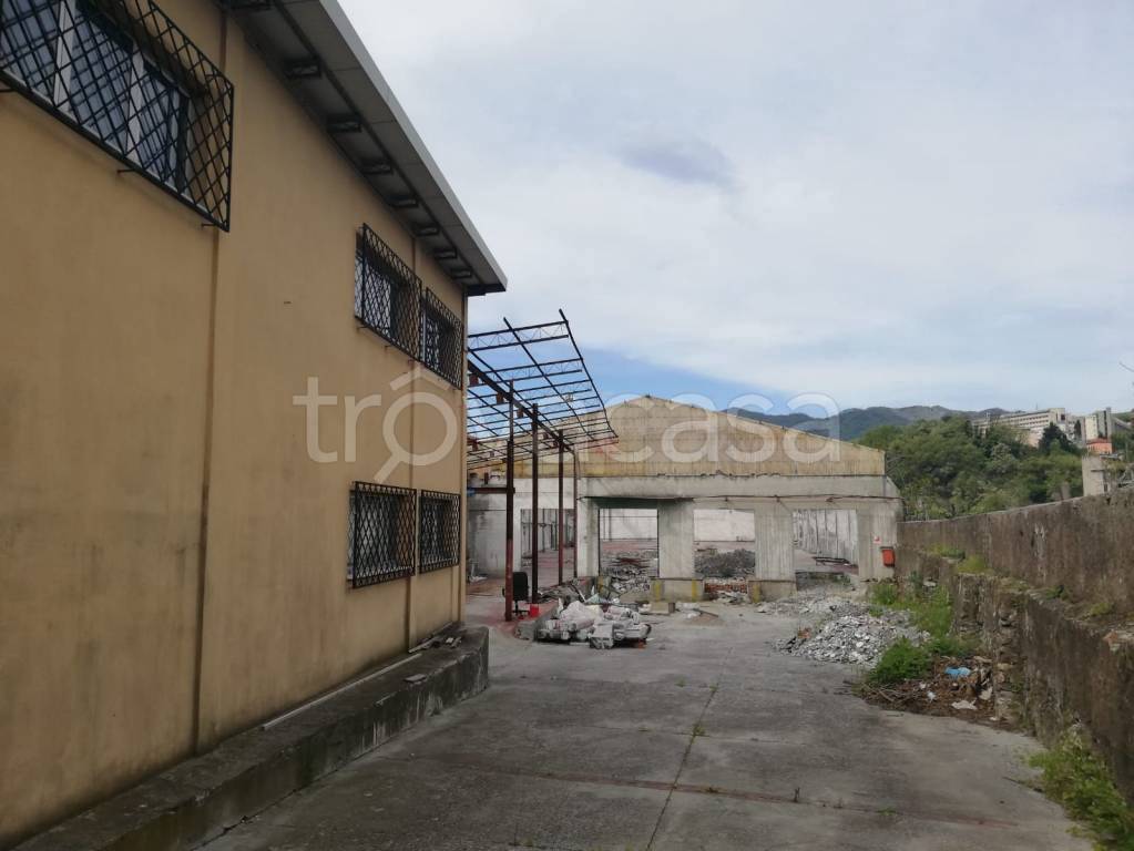 immagine annuncio 7 di 8