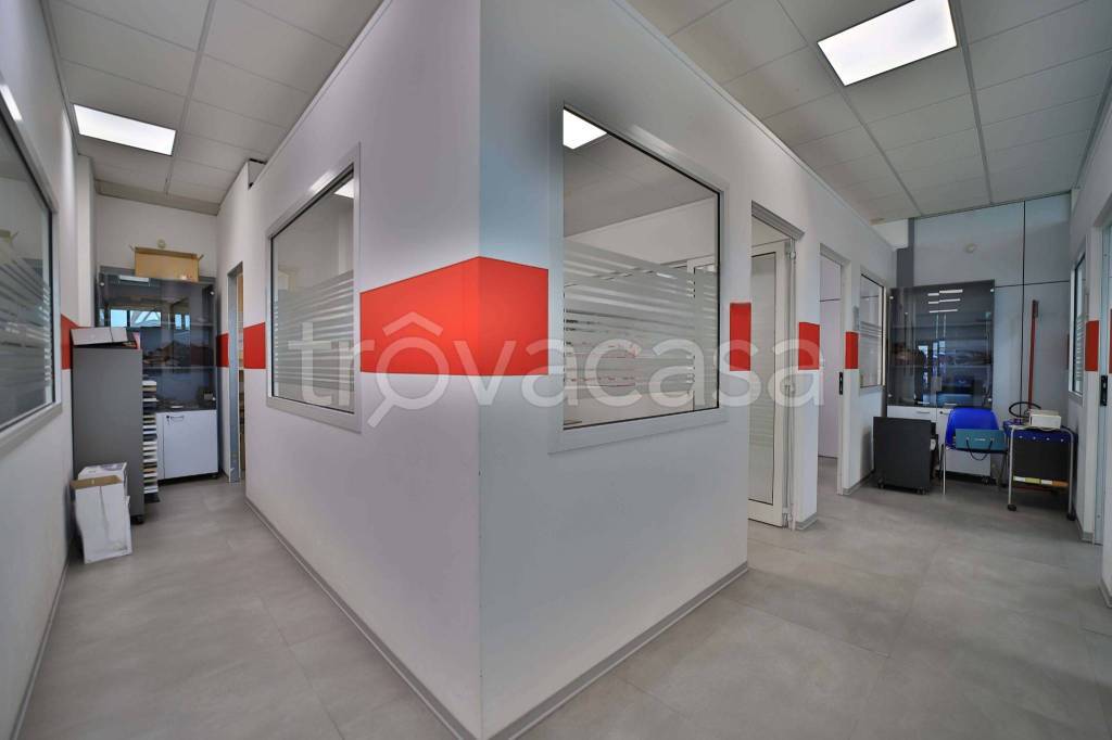 immagine annuncio 3 di 11