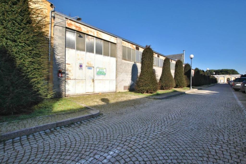 immagine annuncio 1 di 12