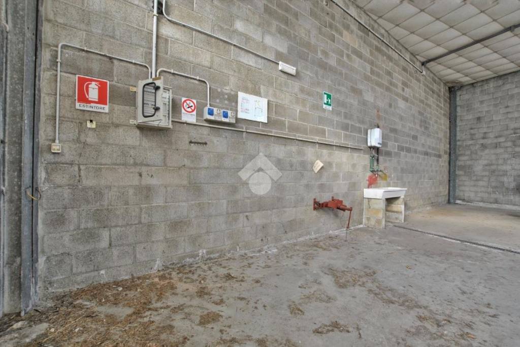 immagine annuncio 10 di 12