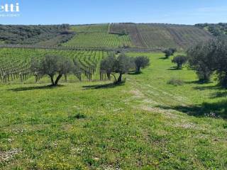 Terreno residenziale in vendita a lanciano c.da serre , 4