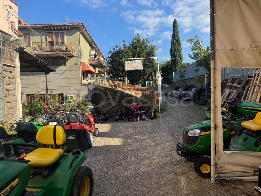 immagine annuncio 7 di 15