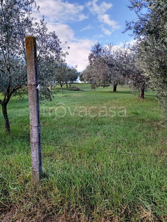 immagine annuncio 2 di 7