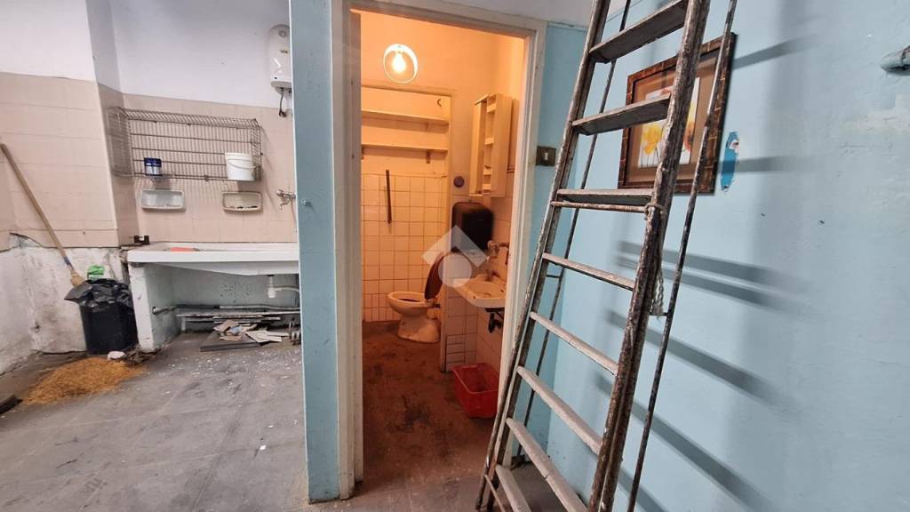 immagine annuncio 6 di 14