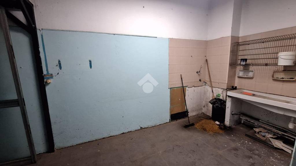 immagine annuncio 10 di 14