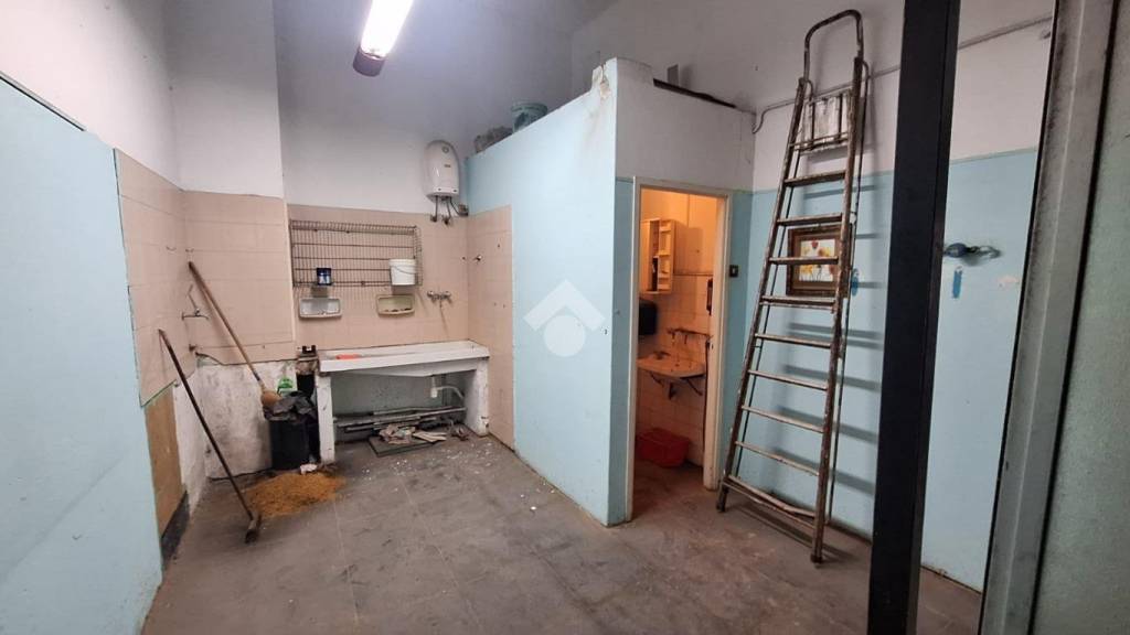 immagine annuncio 11 di 14