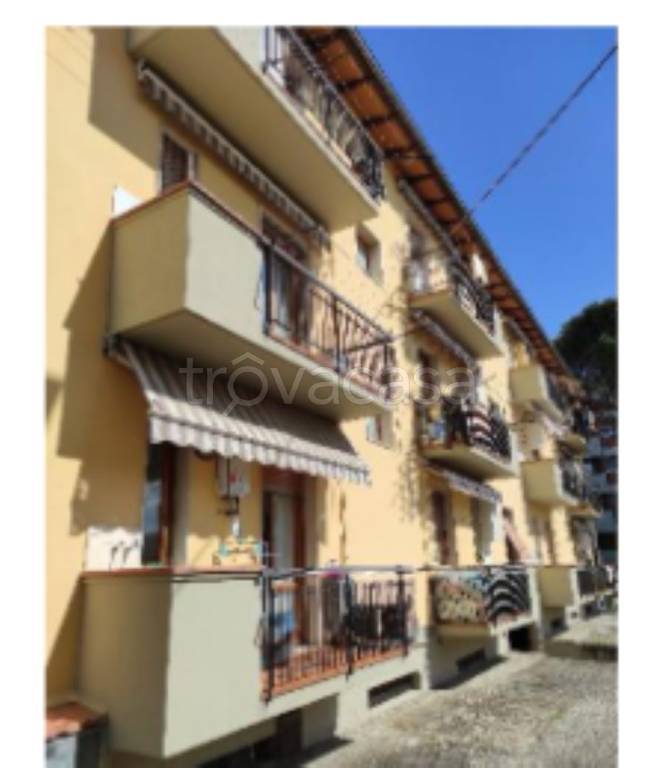 immagine annuncio 3 di 12