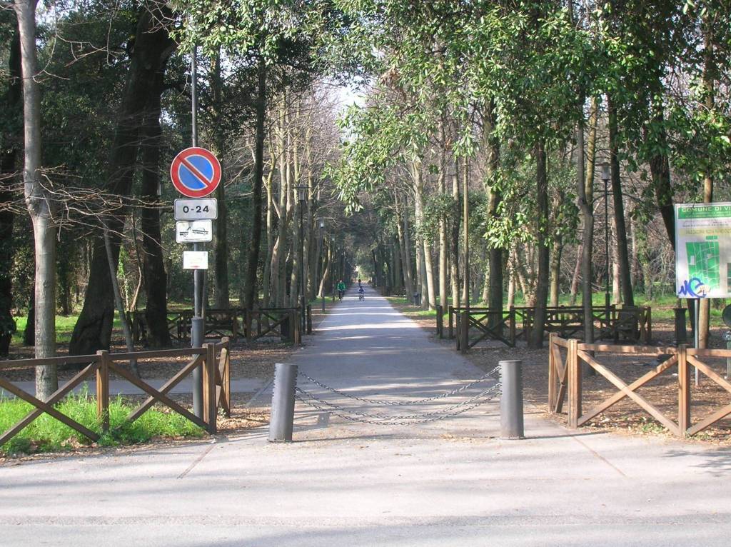 immagine annuncio 7 di 15