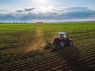 Terreno agricolo in vendita ad abano terme via lungo argine