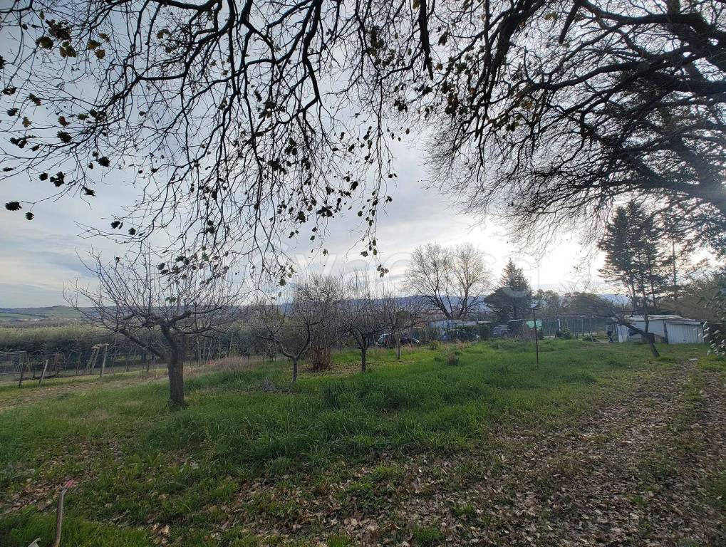 immagine annuncio 3 di 6