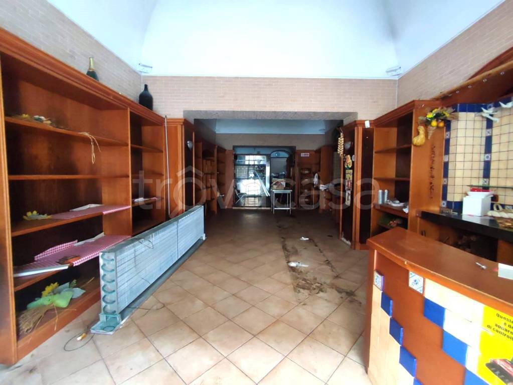 immagine annuncio 2 di 12