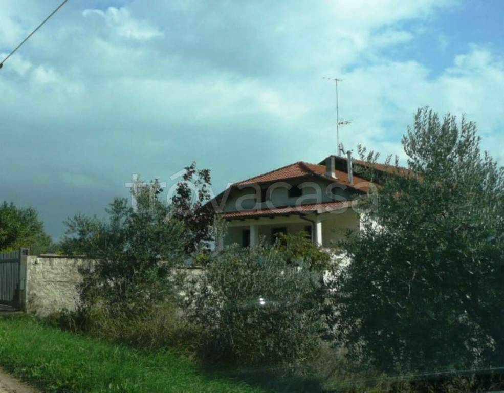 immagine annuncio 2 di 9
