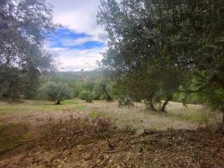 Terreno agricolo in vendita a manoppello via foce s.n.c.