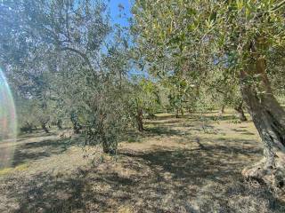 Terreno agricolo in vendita a chieti strada peschiera, 120