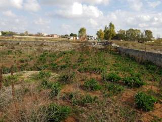 Terreno agricolo all'asta a nardò via achille benegiamo