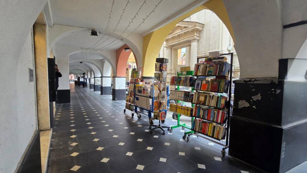 immagine annuncio 3 di 14